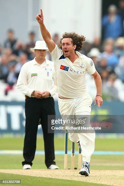 Ryan Sidebottom of Yorkshire celebrates taking the wicket of Chris Read of Notts during the fourth day of the LV County Championship match between...