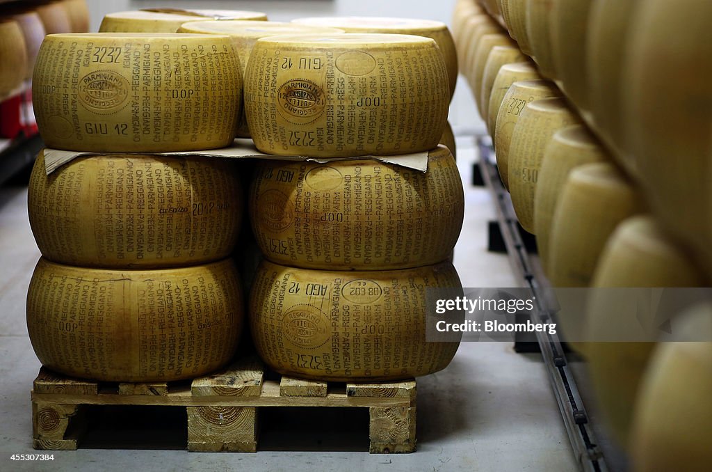 Parmesan Cheese Manufacture As Russia Bans Foods On Sanctions