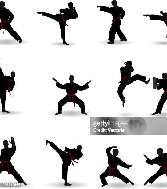 martial arts - martial arts stock illustrations