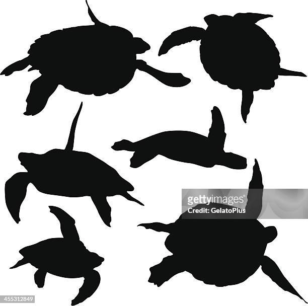 sea turtle - sea turtle stock illustrations