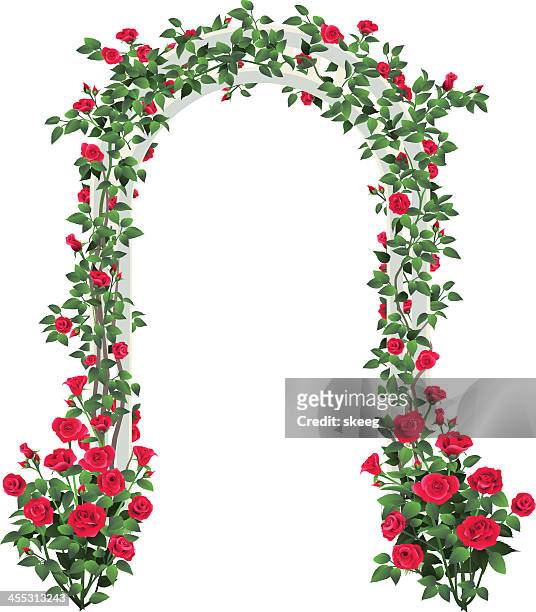 rose garden arbor - arches stock-grafiken, -clipart, -cartoons und -symbole