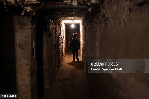 Woman pauses in a basement bomb shelter where she has spent much of the past few weeks in Ilovaisk, which has endured weeks of heavy fighting...