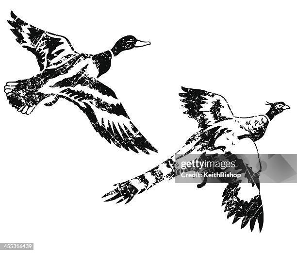 ente und fasane-vogelarten verwitterten grunge-stil - pheasant bird stock-grafiken, -clipart, -cartoons und -symbole