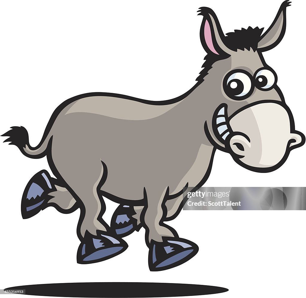 Donkey