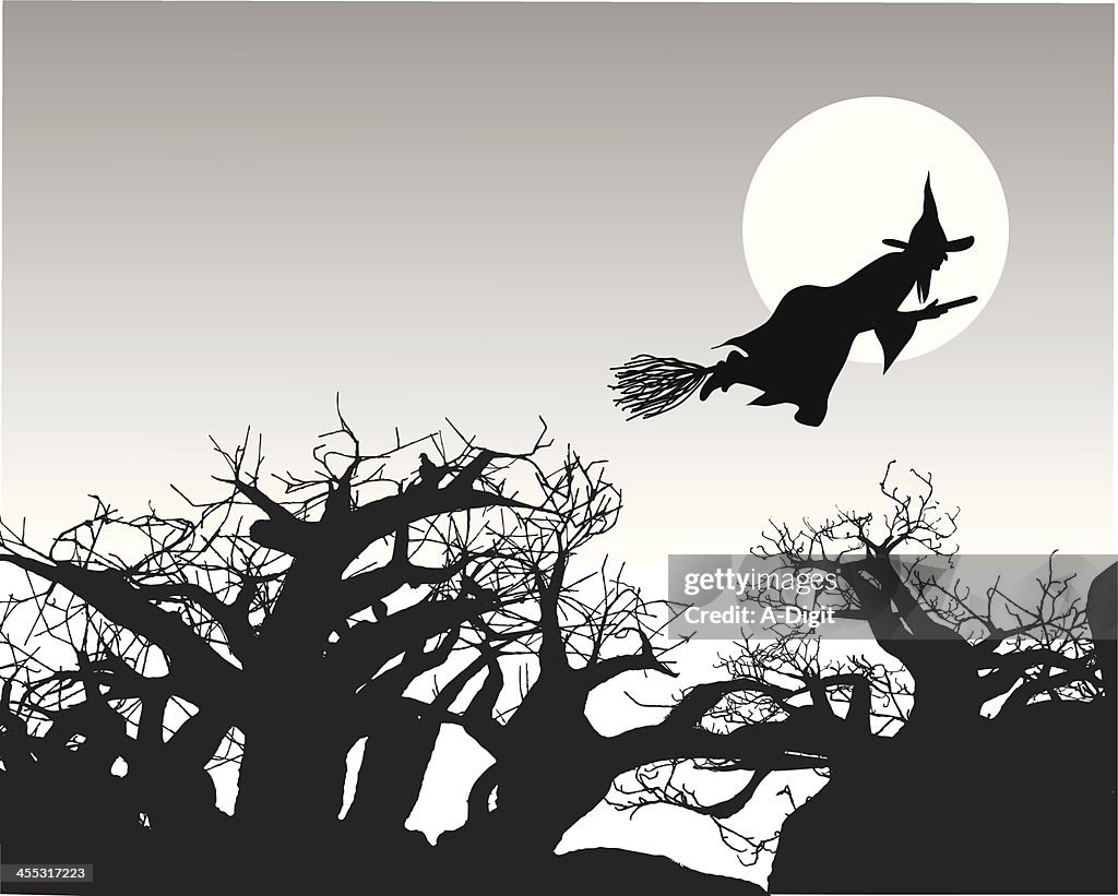 Broom Ride Vector Silhouette