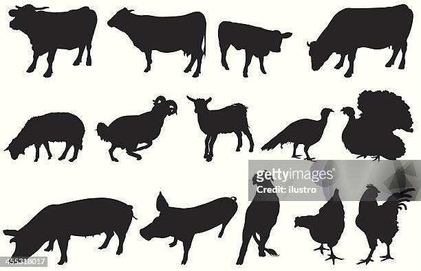 from farm - sheep cut out stock illustrations
