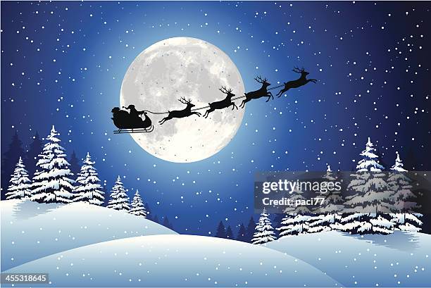 santa claus schlitten - rentier stock-grafiken, -clipart, -cartoons und -symbole