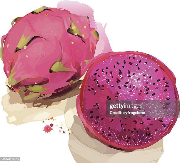 ilustrações, clipart, desenhos animados e ícones de dragon fruit - dragon fruit