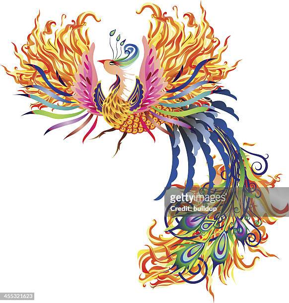 illustrazioni stock, clip art, cartoni animati e icone di tendenza di fuoco di phoenix - pavone