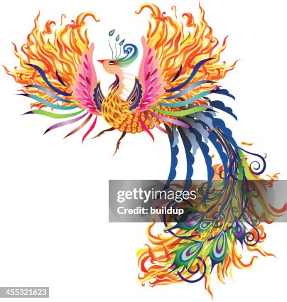 Fire Phoenix Fire Phoenix