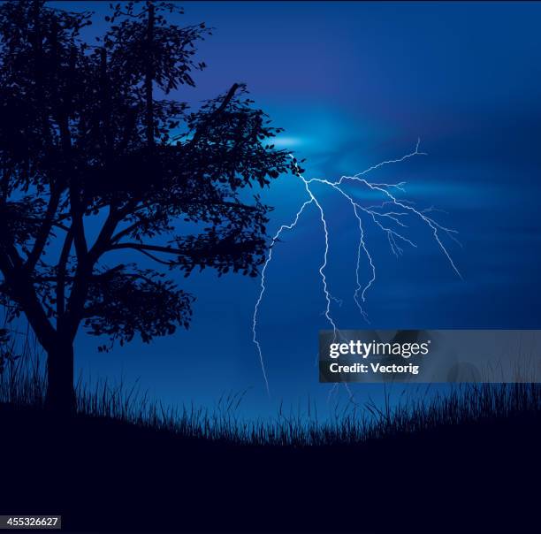 storm field - lightening bolt backgrounds stock illustrations