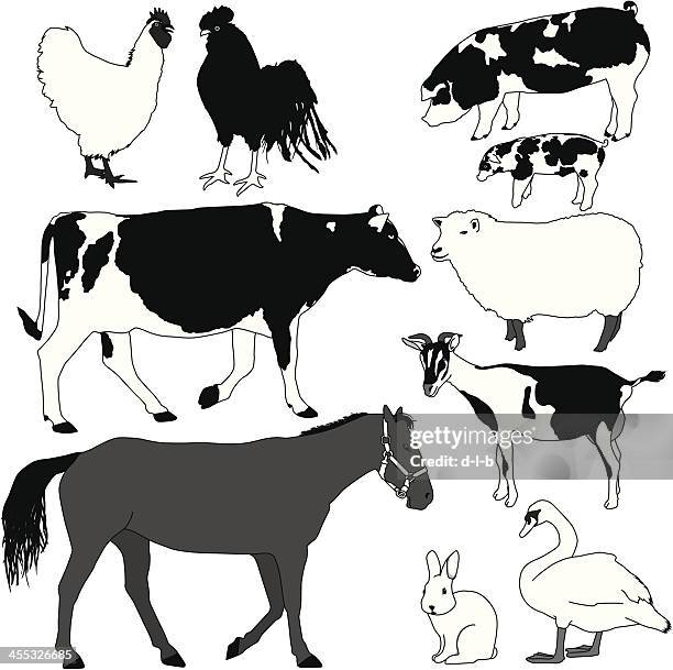 farm animals - black and white cow stock illustrations