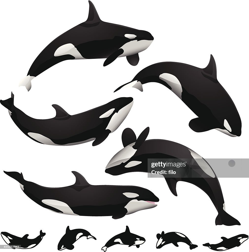 De las Orcas