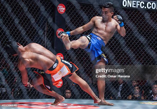 Sam Ang 155 Sam Ang Stock Photos, High-Res Pictures, and Images - Getty Images