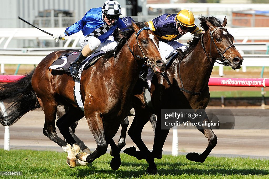 Makybe Diva Stakes Day