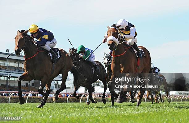 Chad Schofield riding Brambles defeats Glyn Schofield riding Big Memory in Race 3, the Spring Is The Season Handicap during Melbourne Racing at...