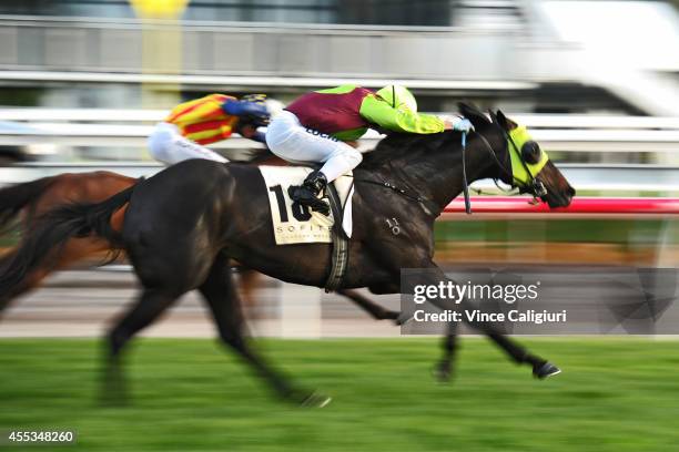 Vlad Duric riding Late Charge wins Race 9, the Sofitel during Melbourne Racing at Flemington Racecourse on September 13, 2014 in Melbourne, Australia.