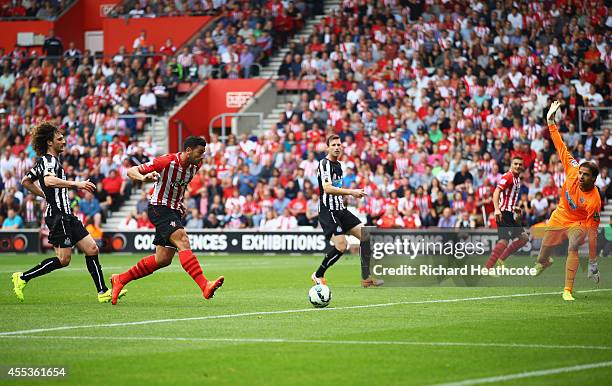 Graziano Pelle of Southampton shoots past Tim Krul of Newcastle United to score their second goal during the Barclays Premier League match between...