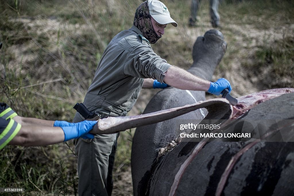 SAFRICA-ENVIRONMENT-POACHING-RHINO