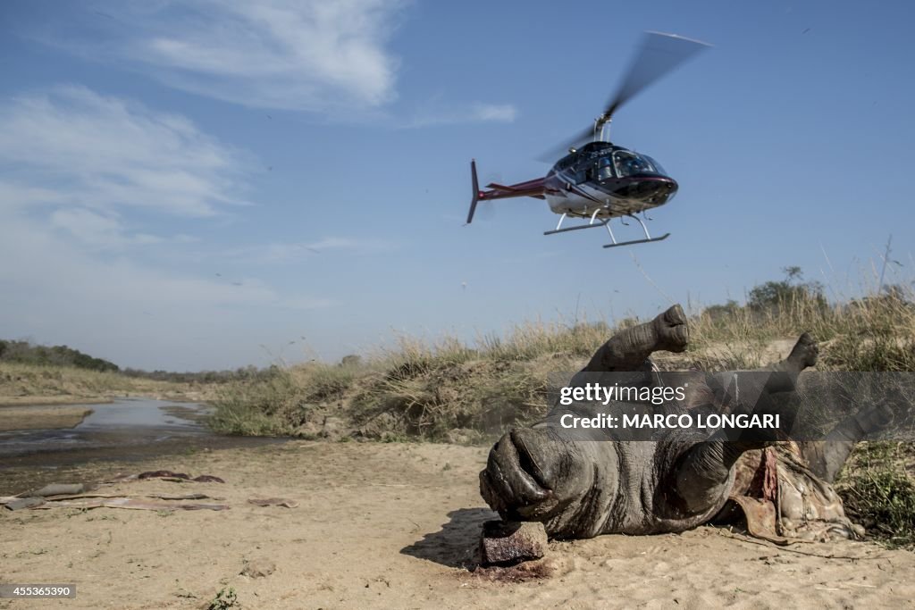 SAFRICA-ENVIRONMENT-POACHING-RHINO