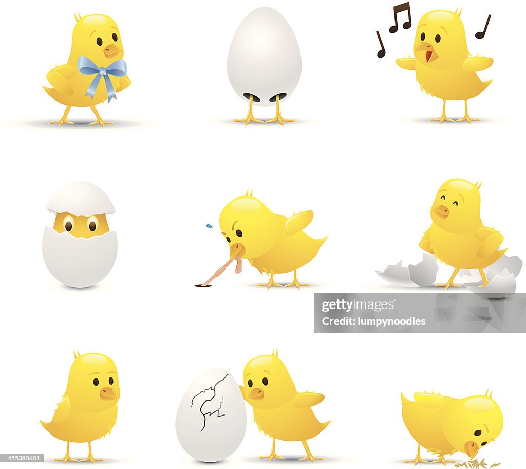 Bebê Chicks