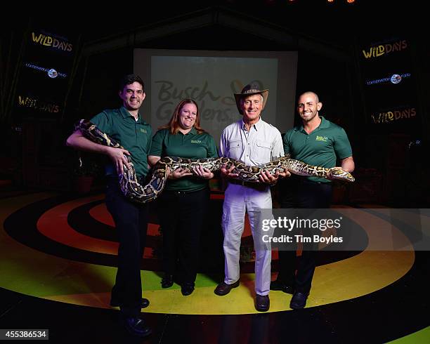 Burmese Python Photos and Premium High Res Pictures - Getty Images