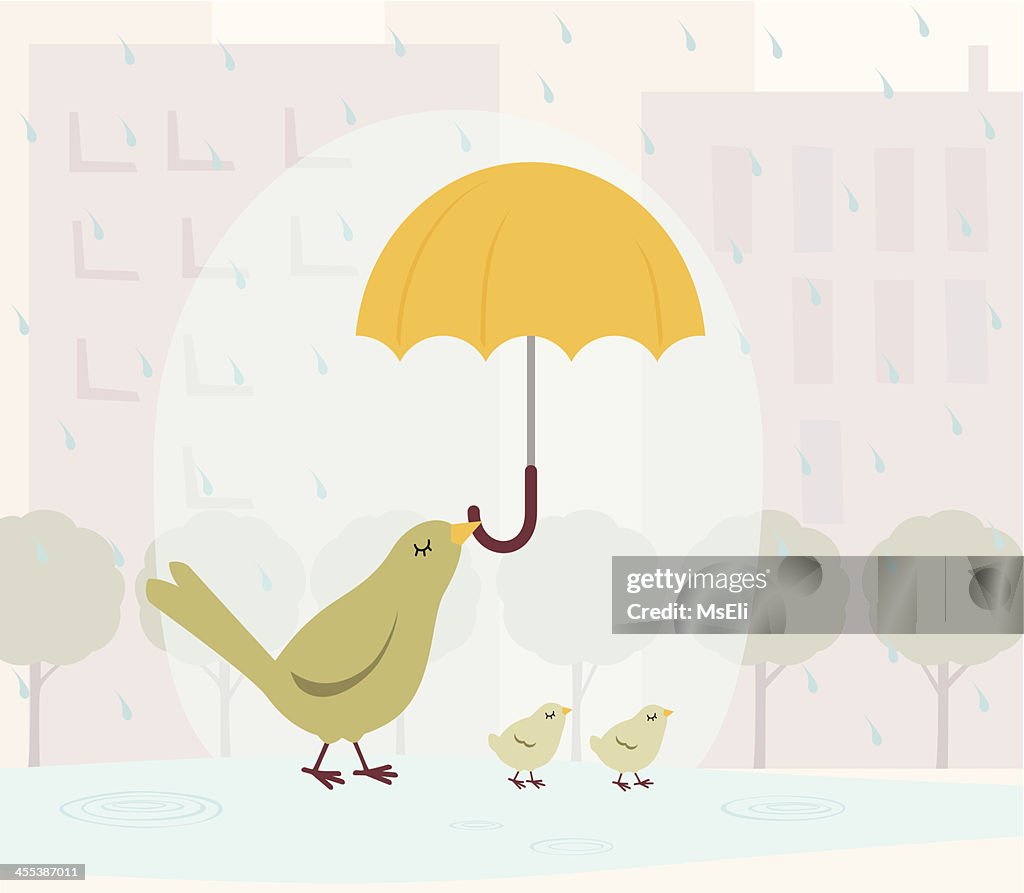 Uccello Famiglia sotto la pioggia