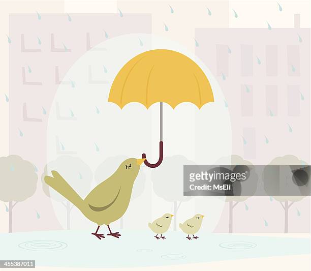 1,552 Umbrella Bird Photos and Premium High Res Pictures - Getty Images