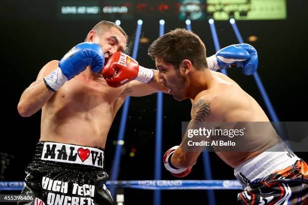 John Molina Jr. Connects with a right to the face of Humberto Soto during their junior welterweight fight at the MGM Grand Garden Arena on September...