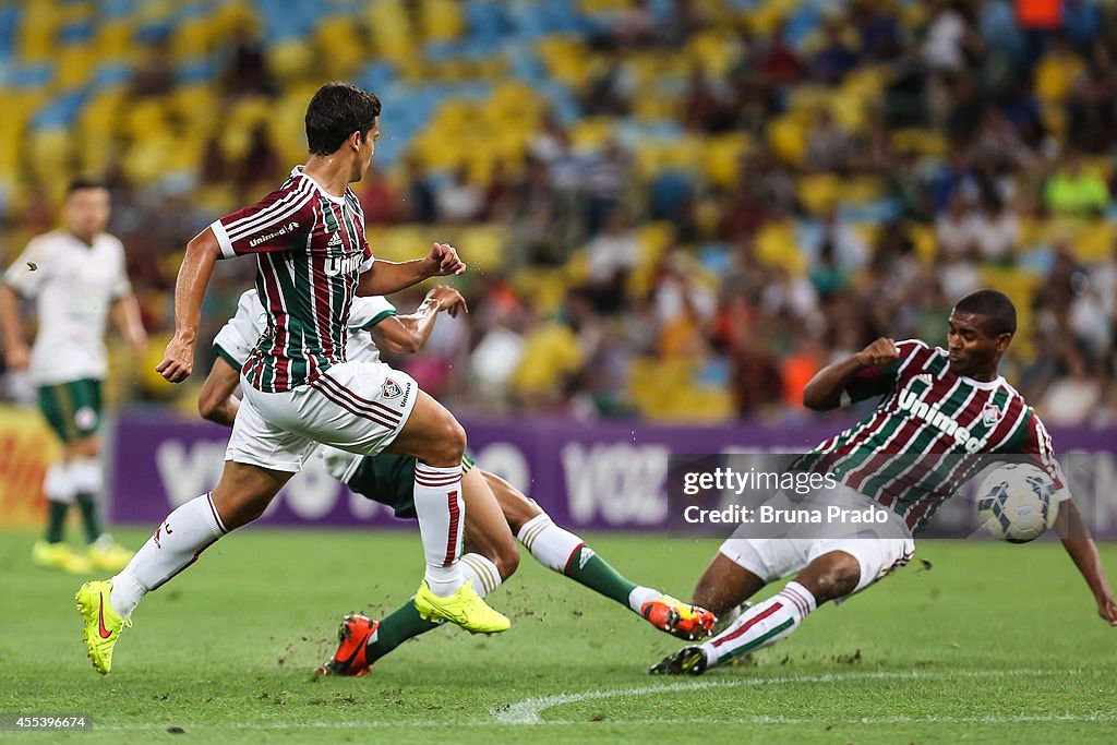 Fluminense v Palmeiras - Brasileirao Series A 2014
