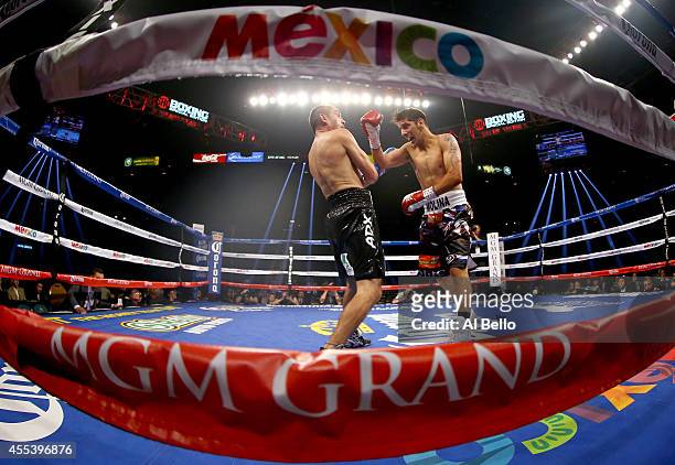 John Molina Jr. Connects with a right to the face of Humberto Soto during their junior welterweight fight at the MGM Grand Garden Arena on September...