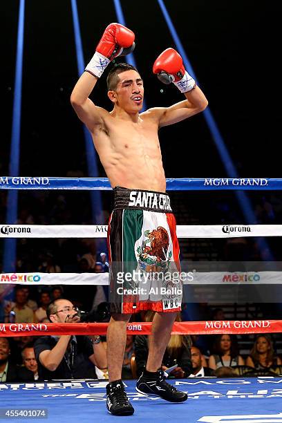 Leo Santa Cruz celebrates after a second round knockout of Manuel Roman during their WBC super bantamweight title fight at the MGM Grand Garden Arena...