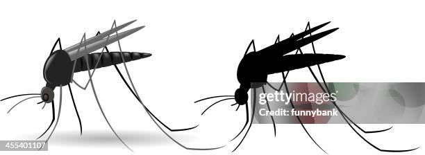 mosquito - mosquito vector stock illustrations