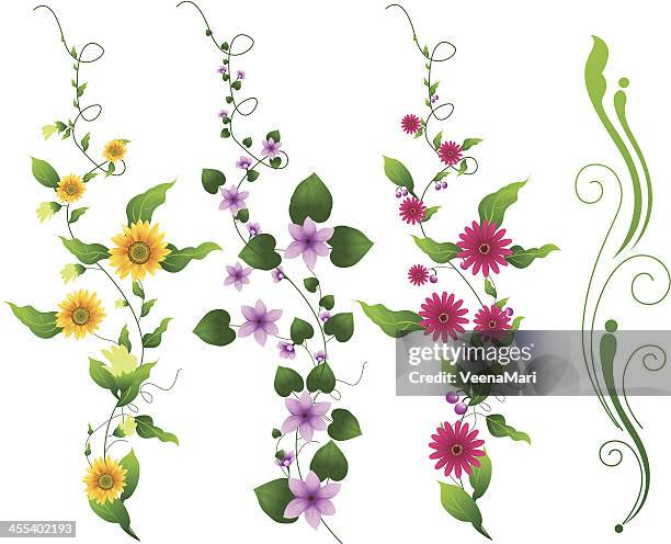stockillustraties, clipart, cartoons en iconen met flower vine - zonnebloemen