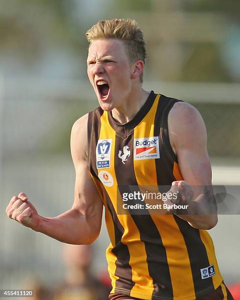 James Sicily of the Hawks celebrates after kicking a goal during the VFL Preliminary Final match between the Box Hill Hawks and Williamstown at North...