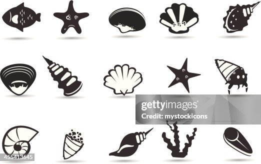 Sea Shell Symbols High-Res Vector Graphic - Getty Images