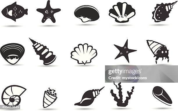 sea shell symbols - oyster pearl stock illustrations