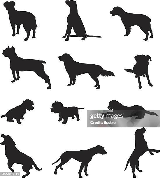 stockillustraties, clipart, cartoons en iconen met dogs - bijten