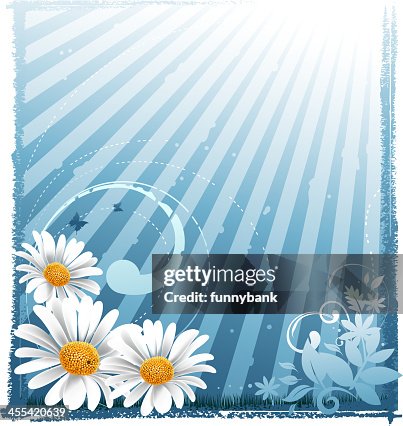 Spring frame Spring frame