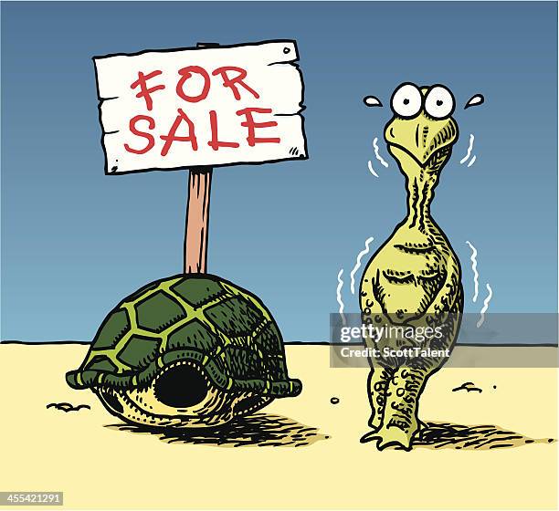 Turtle Rope Cartoon 313 Cute Turtle Cartoon Stock Photos, High-Res Pictures, and Images ...