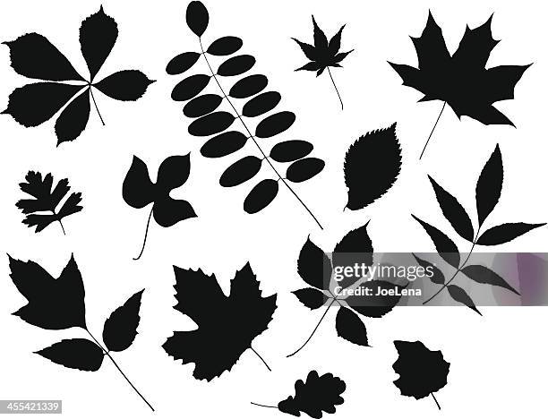 leaves silhouette - chestnut tree stock illustrations