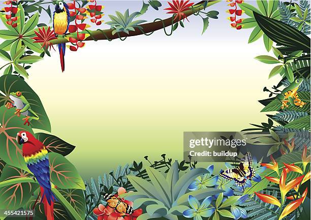 bildbanksillustrationer, clip art samt tecknat material och ikoner med rainforest tropical border - papegoja