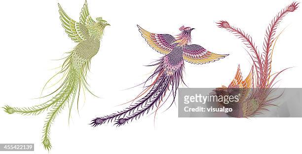 legendary phoenix bird - phoenix mythical bird stock illustrations