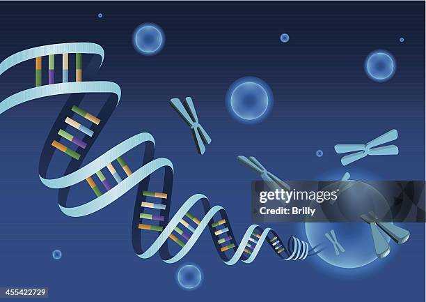 dna - double helix stock illustrations