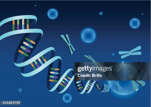 DNA DNA