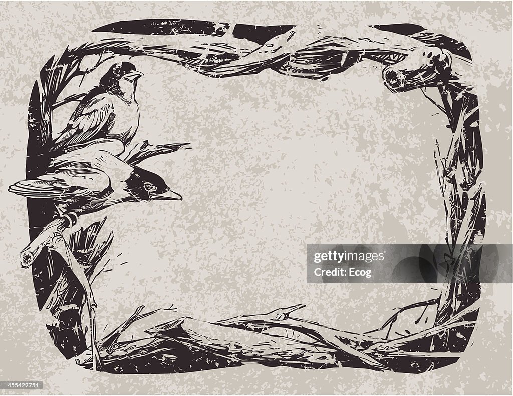 Pair of robins in a branch frame.