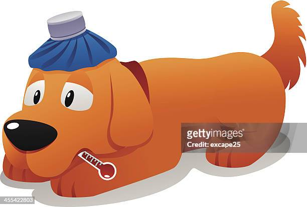 sick dog - fever stock illustrations
