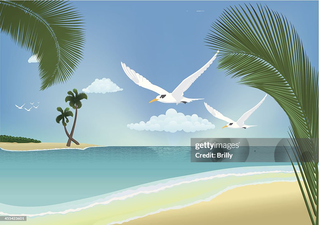 Tropical Beach