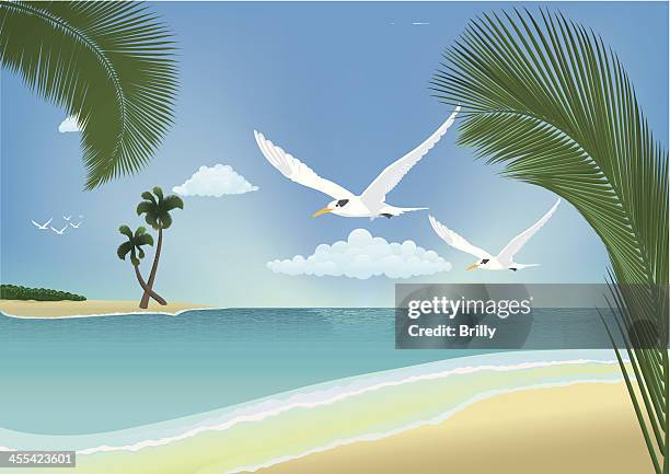 tropical beach - roatan beach stock illustrations
