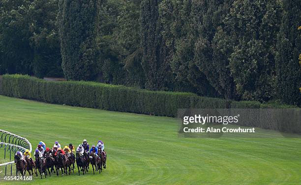 General view as runners turn into the straight at Longchamp racecourse on September 14, 2014 in Paris, France.